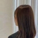 빈트헤어 - 서귀포시 | 빈트헤어