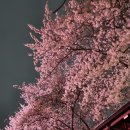 서원시장 이미지