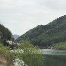 관기약국 네이버블로그