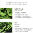 슈가그린헤어