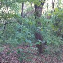 삼싹농장 이미지