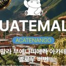 옐로우히포