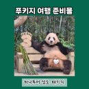 푸키지 여행 준비물 챙기기 하나투어 내돈내산 후기