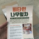 상승농장 | 영월이룸농장 비타민나무잎차 티백 티백차 추천 후기