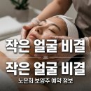 노은희 | 노은희 보양주 예약 방법과 솔직 후기 청담동 연예인 경락의 비밀