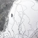 융캉찌에 이미지