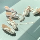 클레시스(klesis) 이미지