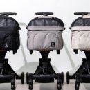 루루애견 이미지