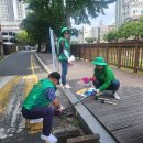 온천2동-31 이미지