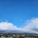 스테이 겹 이미지