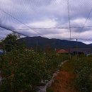 지재농장 이미지