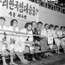 한반도태권도 이미지