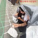 리미티두 시리즈 :: 리미티드 에디션 1982 어반 그레이 패션 유니폼 후기, 착샷