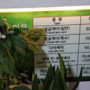 친친아로마