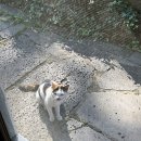 건강웰빙밥상 이미지