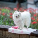 중리공원 이미지