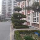 이리동초등학교병설유치원 이미지