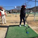 파크골프 입문 이미지