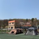 일영모자농원캠핑장 이미지