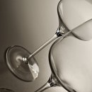 디바인리조트 | 신혼부부 선물 화이트 와인잔, WMF 디바인 와인 잔 추천