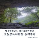 오늘 한잔어때 | 제주투어패스 추천, 오늘은녹차한잔 제주족욕 후기｜제주힐링코스 제주가볼만한곳