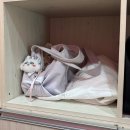 지니어스발레아카데미학원 | [대구/진천역] 대구성인발레 원데이 “로엘발레아카데미학원” 1+1.5레벨 수강 후기