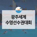 송정태권도체육관 | 2019광주세계수영선수권대회 직관 후기! 수영에 푹 빠진 빛고을 광주