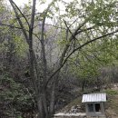 차항1리경로당 이미지