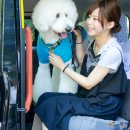 수송반려동물병원 이미지