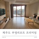 제주부영리조트 | 제주 부영리조트 프리미엄 13개월 아기랑 다녀온 가성비 리조트 후기