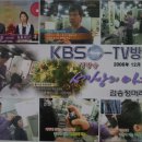 퓨전헤어