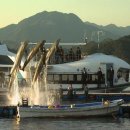 돌고래하우스 이미지