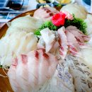 주문진밤도깨비 | 도깨비 10주년 여행 강릉 영진횟집 주문진 물회 맛집 영업시간 정보