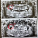 서울호치과의원 이미지