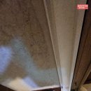 포지타노인제주 | 제주 서귀포 스파펜션 연박 후기( 포지타노인제주 )2024년 1월초