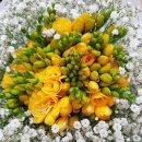 아크포레자이위브 2단지 이미지