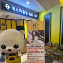 미스터힐링롯데시네마 이미지