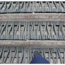 에코랜드수영장 축구장 이미지