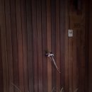 풀스테이더제주 이미지