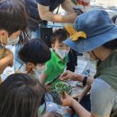 진건초등학교(병설) 이미지