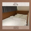 미도모텔 | 포항 남구 호텔 추천 호텔 모뭄, 포항 포스코근처호텔 후기