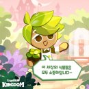 허브킹덤