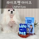 여의도동물약국 | 강아지 눈물 자국 관리 노령견 눈 영양제 라이프펫 아이즈