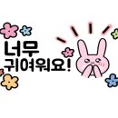 냥빨 이미지