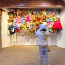 테지움사파리 | 제주 애월 가볼만한곳 아이와함께 테디베어하우스 테지움