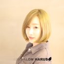 헤어살롱하루스 (HAIR SALON HARUS) 네이버블로그
