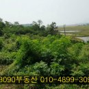 광명펜션 이미지