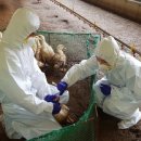 이성기농장 이미지