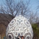 시가자도 이미지