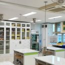 신림초등학교 이미지